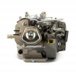 kartmotor-dm-390-cc-evo3_1.jpg